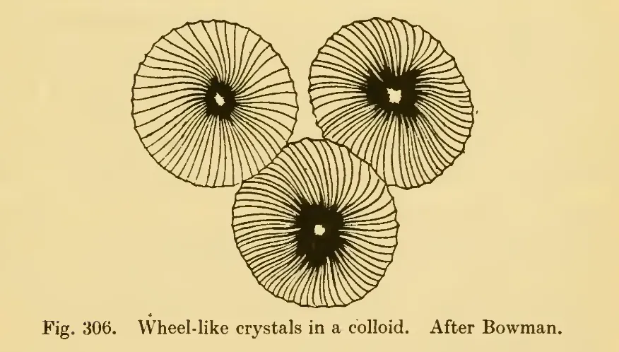 Primary-source scan of Thompson's figure 306 showing wheel-like crystals in a colloid.